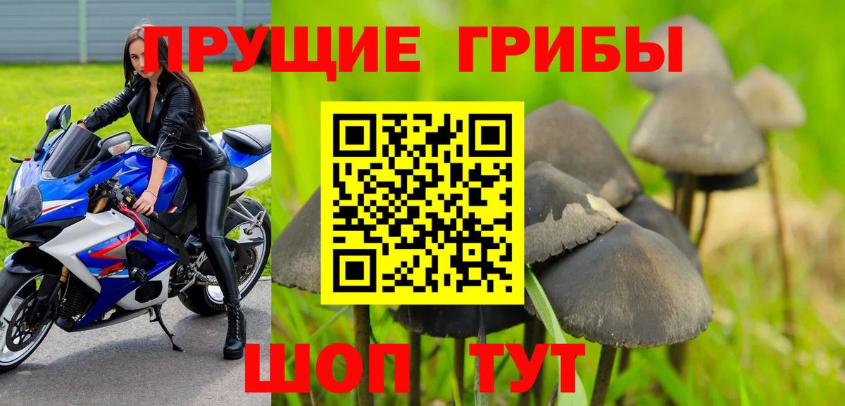 Галлюциногенные грибы Psilocybe  Вход с VPN  Псилоцибиновые грибы Psilocybine cubensis  Югорск 