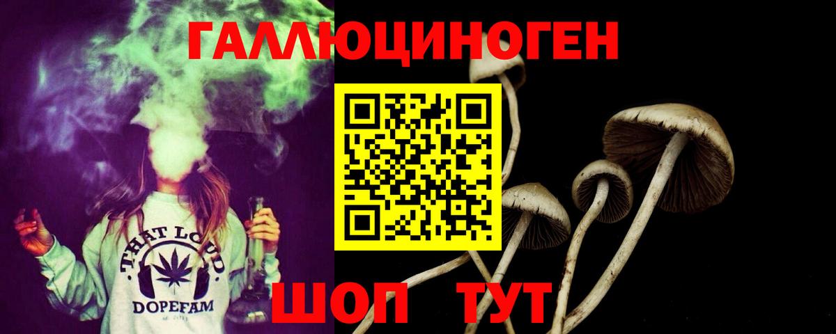 Галлюциногенные грибы Cubensis Югорск